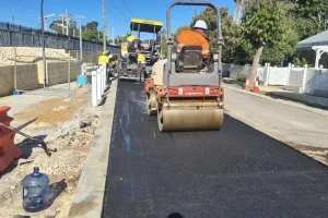 Screenshot_20250530_124659_WhatsApp