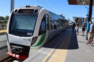 web-bayswater-opening